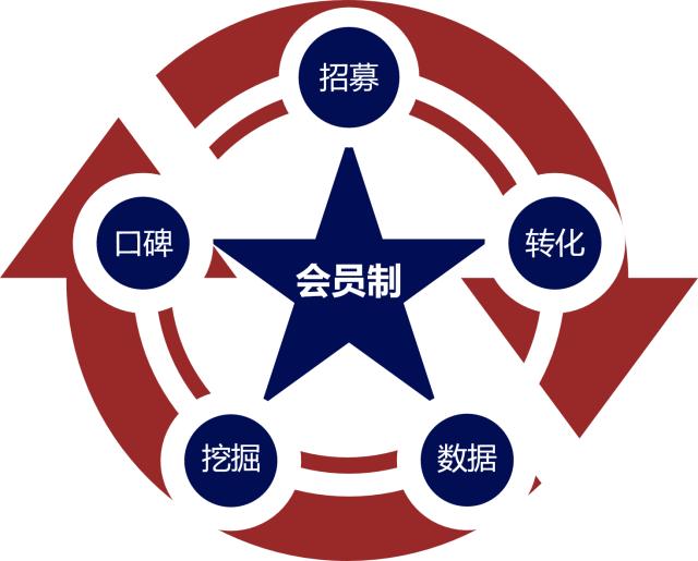 快速提升营收！揭秘七种高效会员营销方式